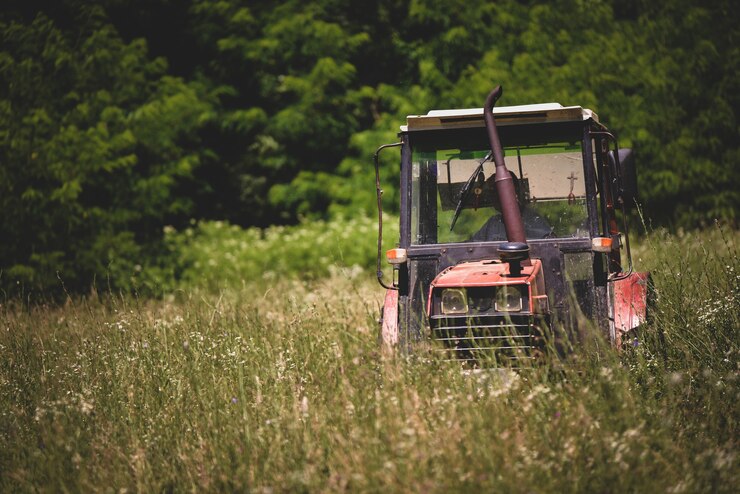 tracteur pour pelouse