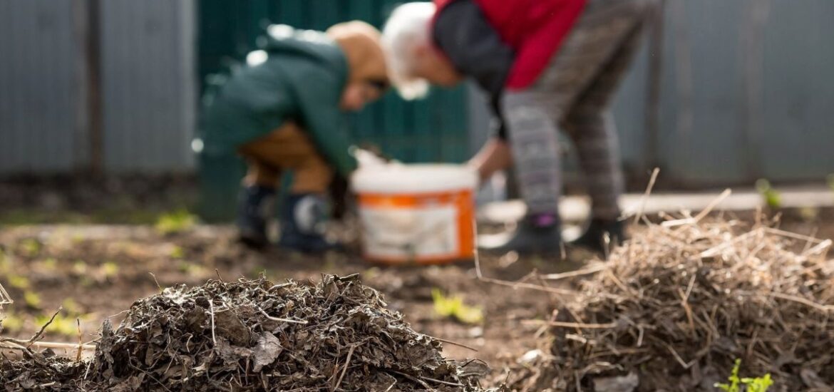 Compostage : nourrissez votre jardin et réduisez vos déchets