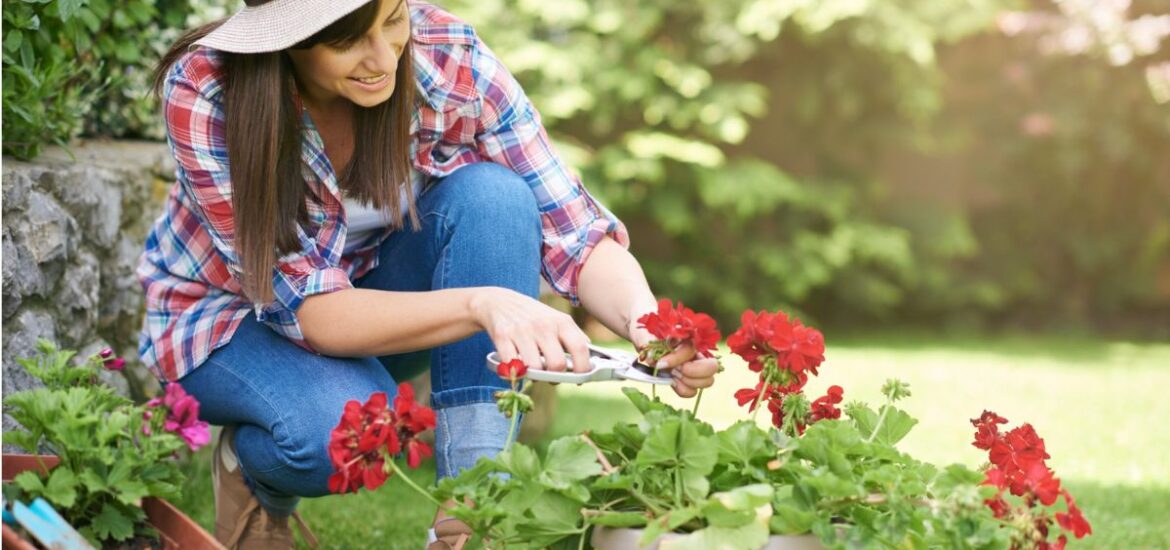 Pourquoi aménager votre jardin peut transformer votre maison ?