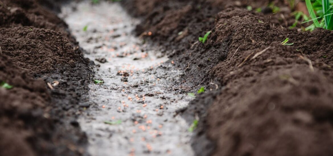 Sol compacté ? Voici comment le préparer correctement