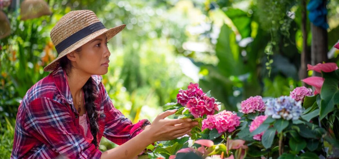 Créer un jardin de rêve avec un petit budget