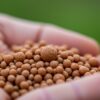 engrais pour plantes